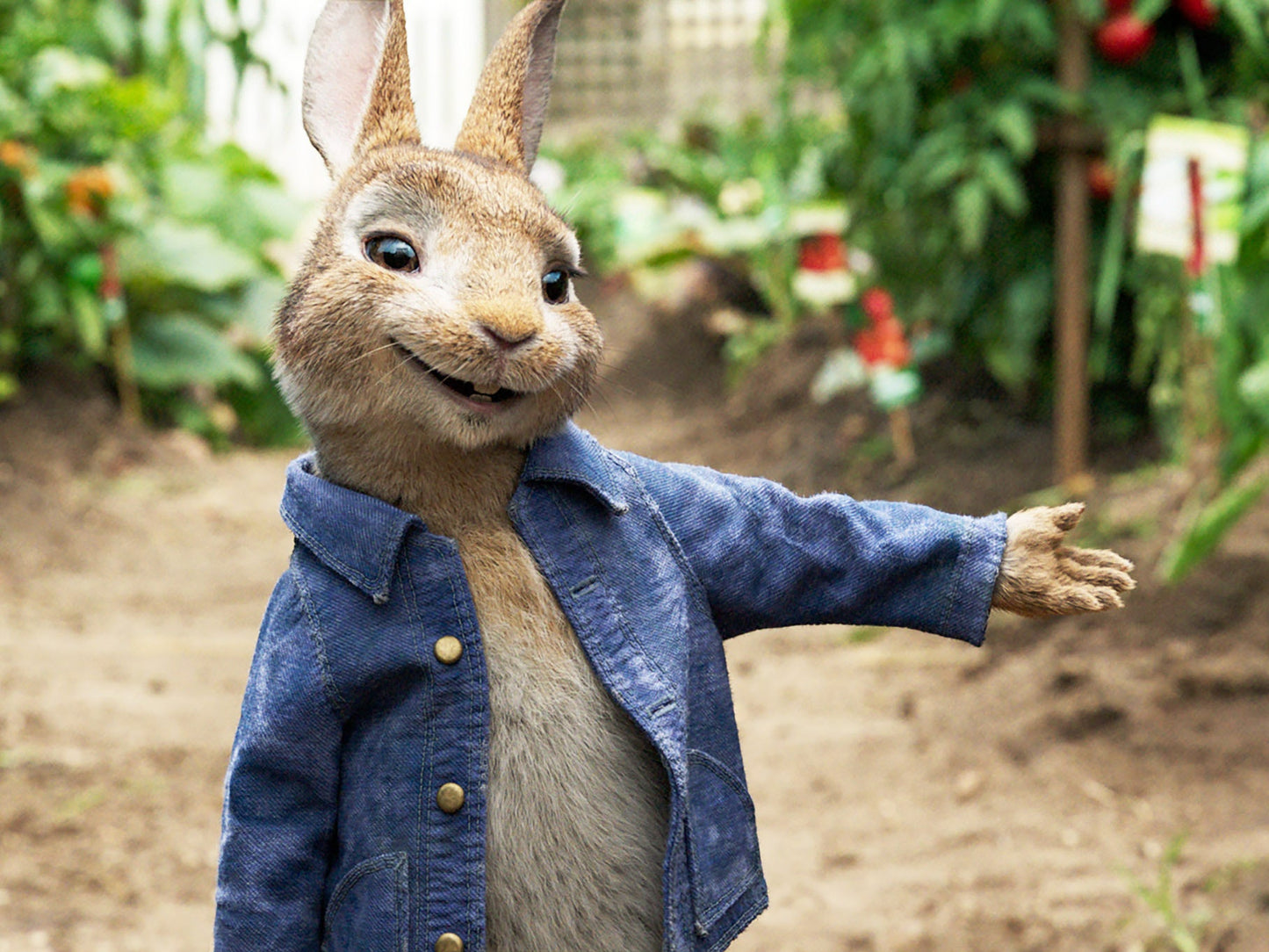 Painting session with mala Peter rabbit 19th April 11am-12pm